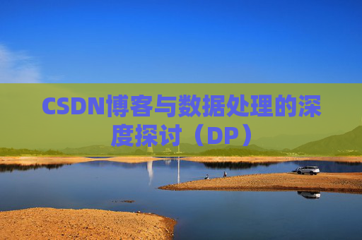 CSDN博客与数据处理的深度探讨（DP）